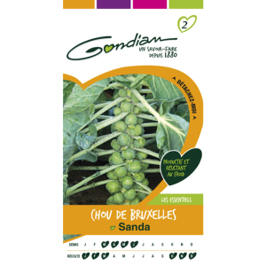 CHOU DE BRUXELLES SANDA – Article disponible sur demande – Nous consulter 04.28.70.36.84