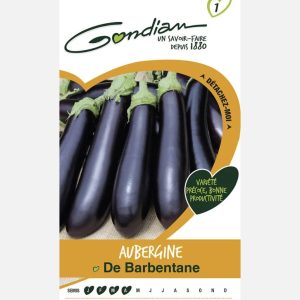 AUBERGINE DE BARBENTANE – Article disponible sur demande – Nous consulter 04.28.70.36.84