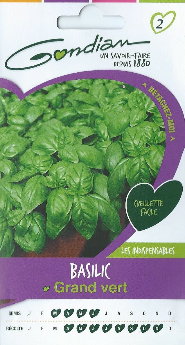 BASILIC GRAND VERT – Article disponible sur demande – Nous consulter 04.28.70.36.84